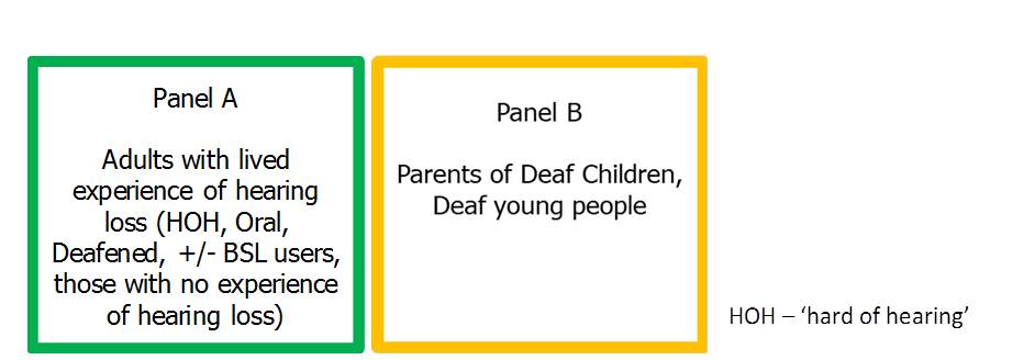 Panel A - D/deaf communities and Panel B parents of D/deaf children and young people